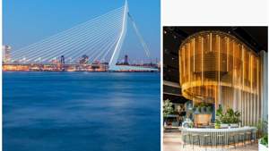 Rotterdam & Baar Office Move