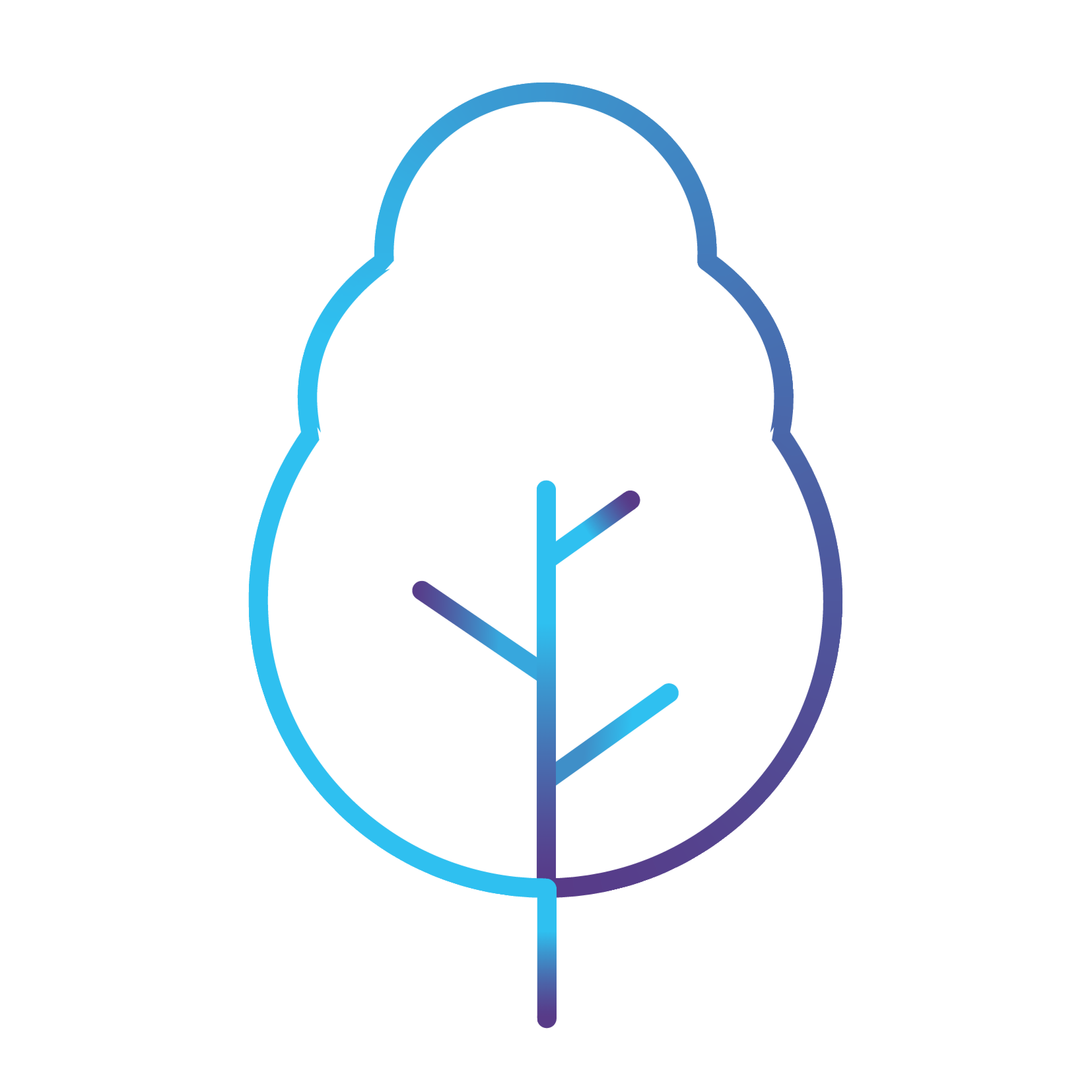 Carbon Removals Colour